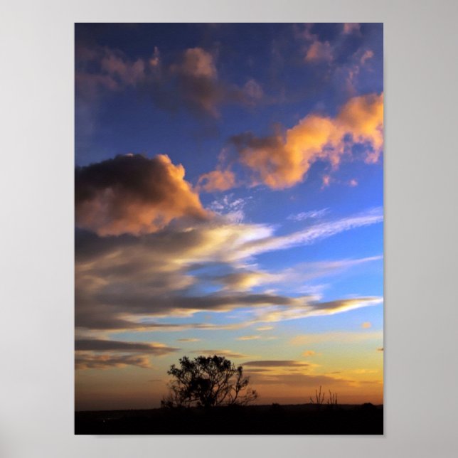 Skyscapes : Ferntree Gully - POSTER (Frente)