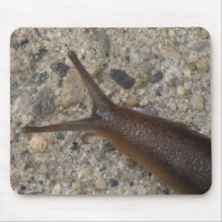 Slug Mousepad