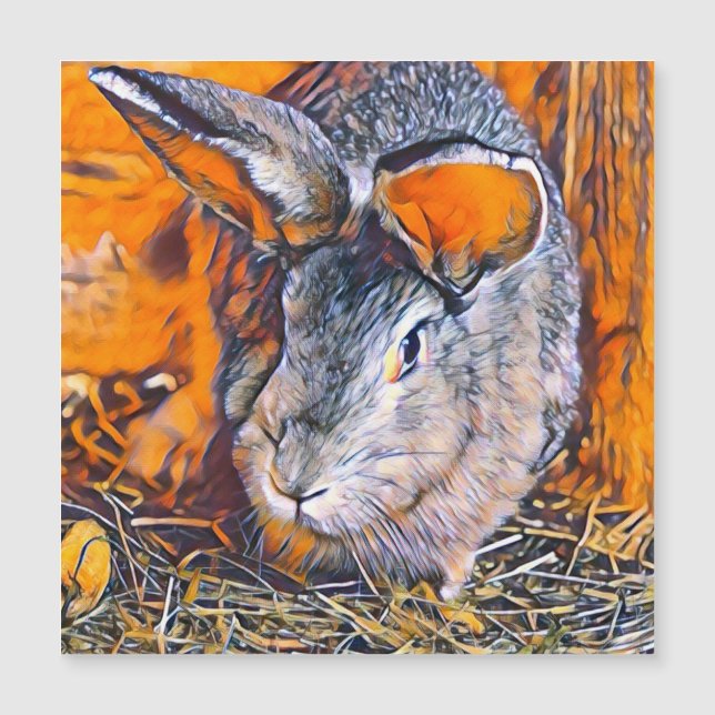 smartmix animal- coelho (Frente)