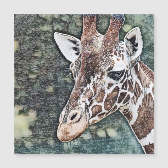 SmartMix Animal - Girafa (Frente)