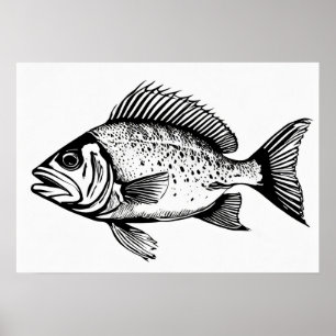 Snapper - Impressão de Peixe