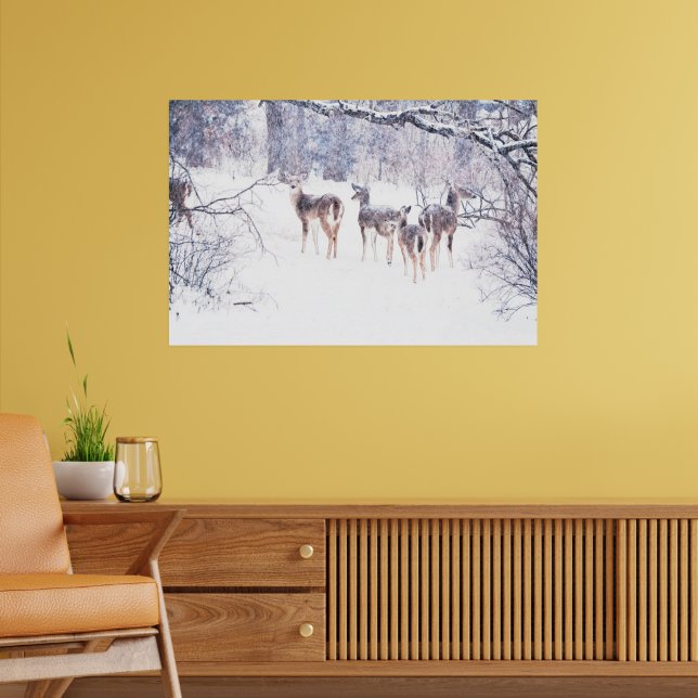 Snow Deer no Texas Art Poster (Sala de Estar 2)