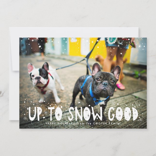 Snow Good | Cartão de Natal de Foto de Pet (Frente)