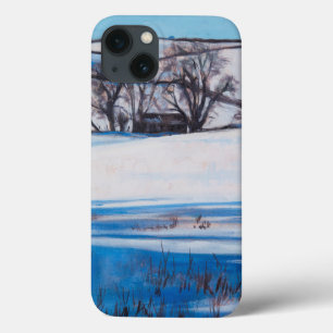 Snow Shadows 2010