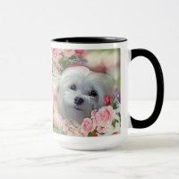 Snowdrop a caneca maltesa