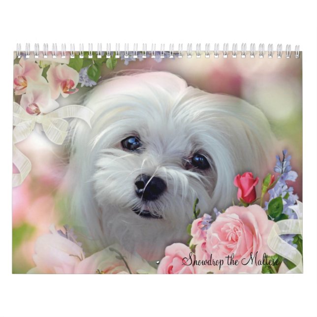 Snowdrop o calendário maltês (Capa)