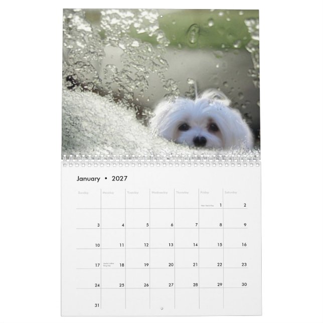 Snowdrop o calendário maltês (Jan 2027)
