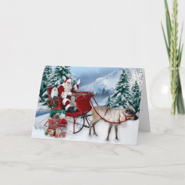 Snowdrop o Cartão de Natal Maltês (Frente)