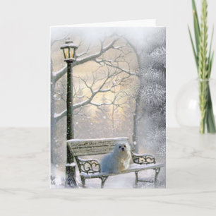 Snowdrop o Cartão de Natal Maltês