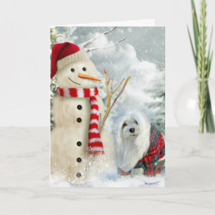 Snowdrop o Cartão de Natal Maltês