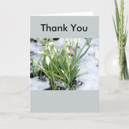 Snowdrops em cartões de agradecimentos da neve