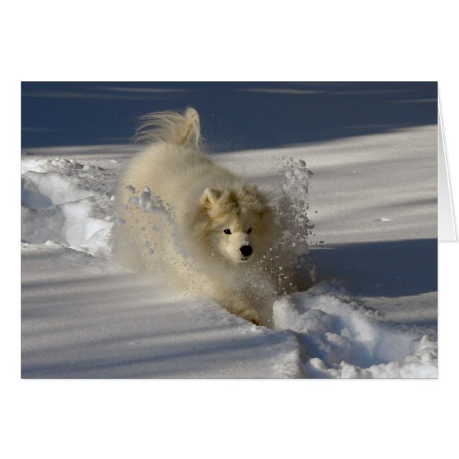 Snowplow - cartão vazio (Frente Horizontal)