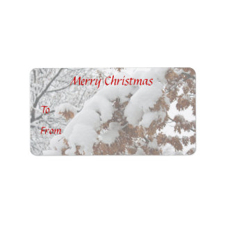 Snowy Oak fotografia etiquetas de presente de Nata