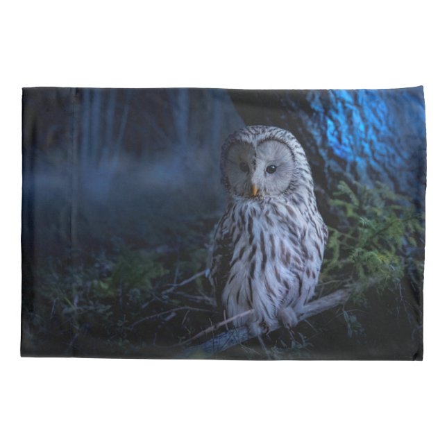 Snowy Owl à noite (Verso)