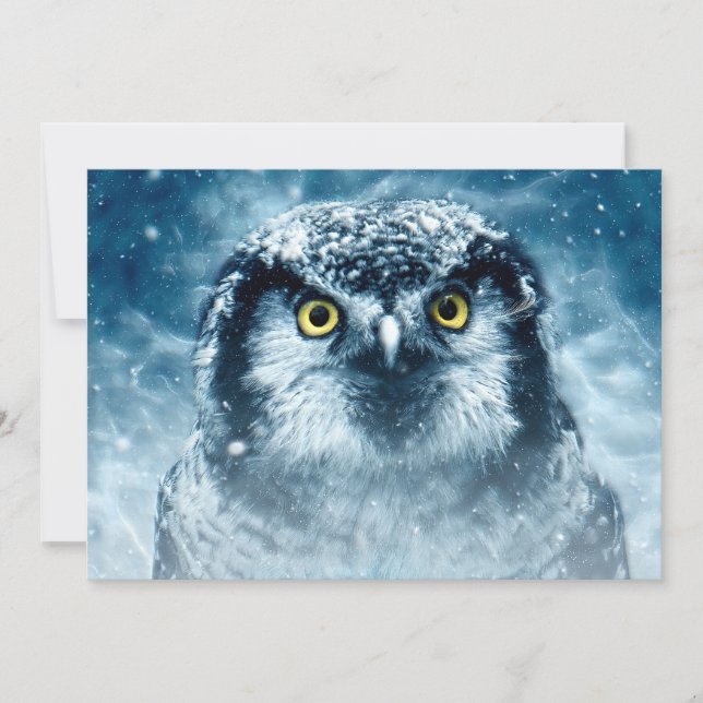 Snowy Owl Big Eyes (Frente)