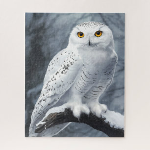 Snowy Owl Quebra-cabeça