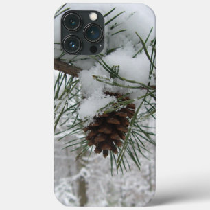 Snowy Pine Branch Winter Nature Fotografia
