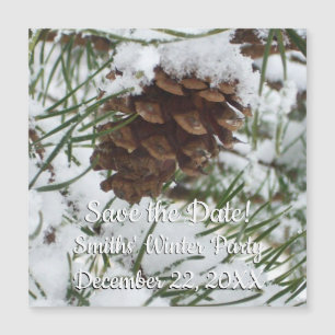Snowy Pine Cone I Winter Nature Photoshop