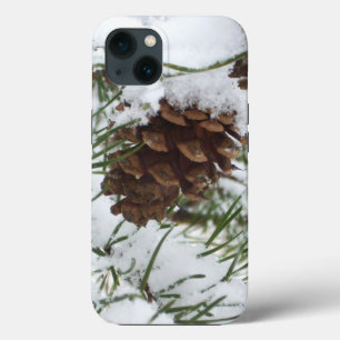 Snowy Pine Cone I Winter Nature Photoshop