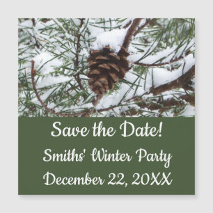 Snowy Pine Cone II Fotografia de inverno