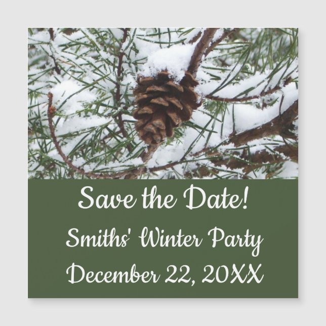 Snowy Pine Cone II Fotografia de inverno (Frente)