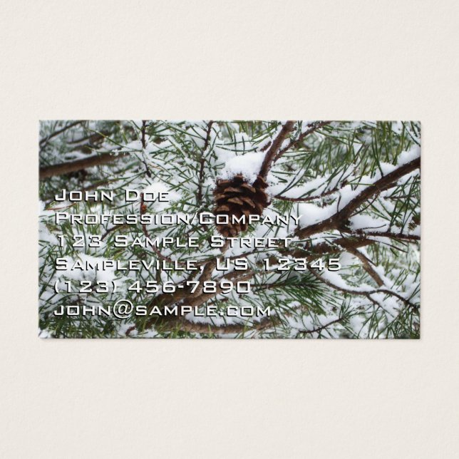 Snowy Pine Cone II Fotografia de inverno (Frente)