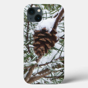 Snowy Pine Cone II Winter Nature Fotografia