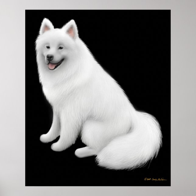 Snowy Samoyed Dog Impressão (Frente)
