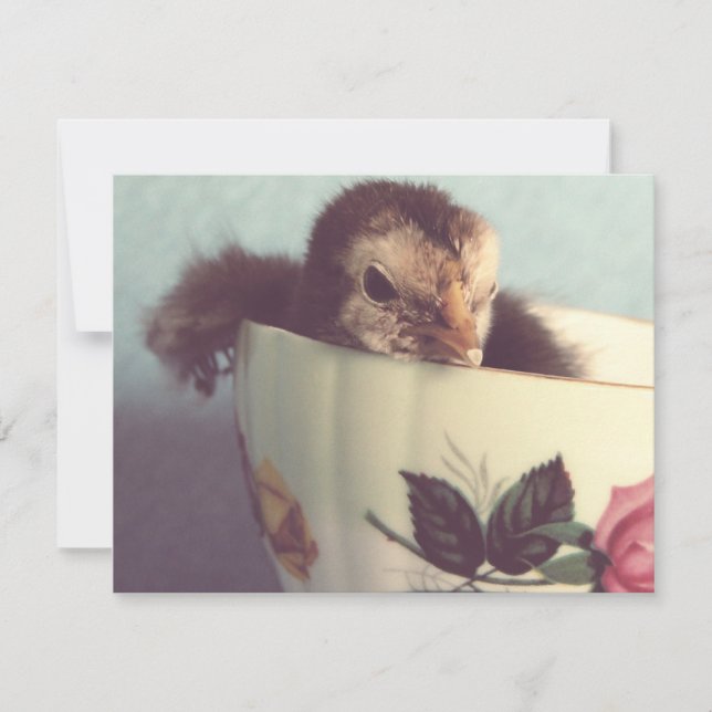 Só estou a chillin (Frente)