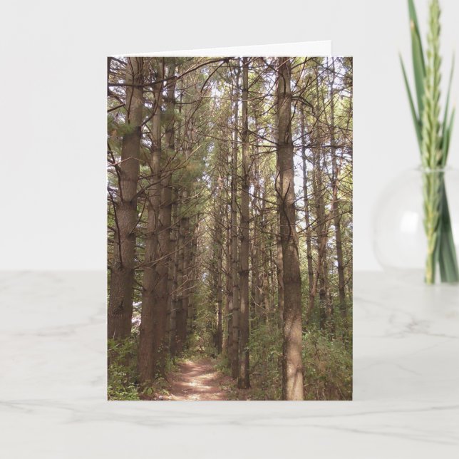 Só Pensando Em Seu Cartão (Frente)