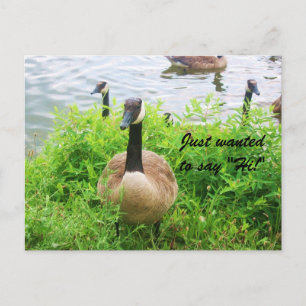 SÓ QUERIA DIZER "OI!" cartão postal