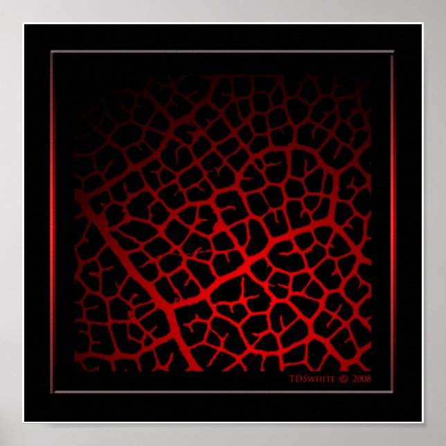 So Vein Poster (Frente)