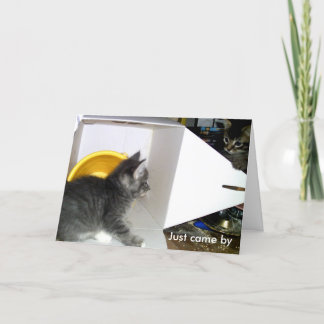 "Só vim dizer que me importo" Cartão Kitten