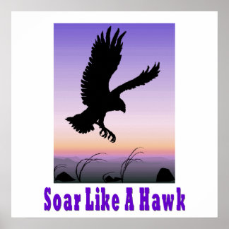 Soar como um Poster Hawk.
