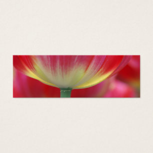 sob a saia das tulipas