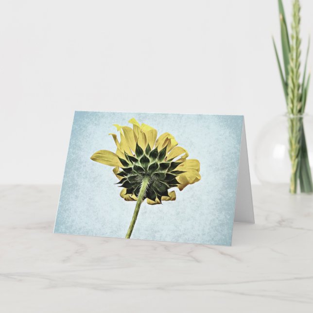 Sob O Cartão De Vazio De Girassol (Frente)