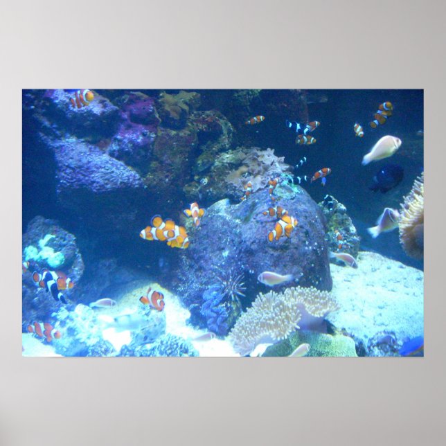 Sob o mar Poster (Frente)