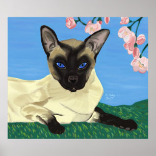 Sob o poster das flores de cerejeira