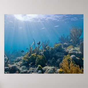 Sob o poster de Biscayne NP da água