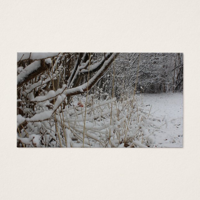 Sob um cobertor de neve (Frente)