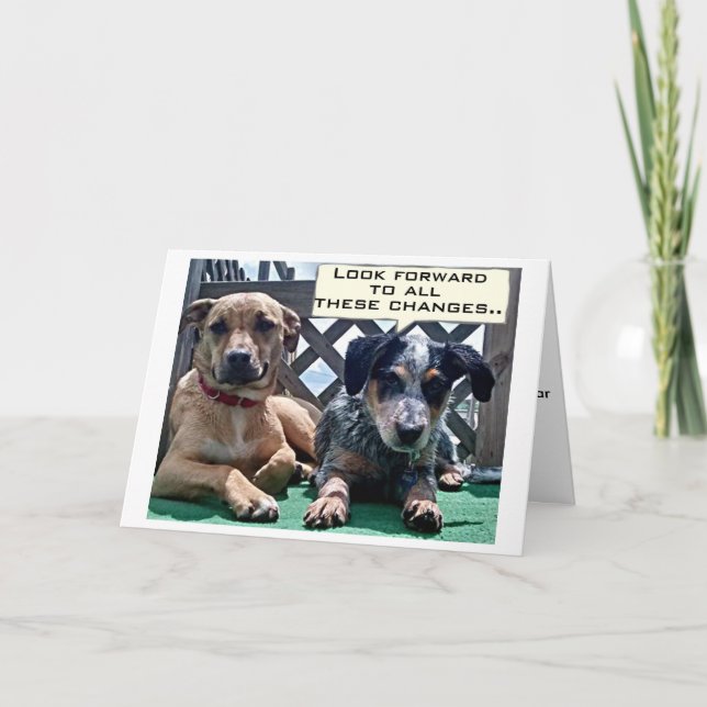 SOBRE A COLINA / O QUE VOCÊ PODE ESPERAR DO CARTÃO (Frente)