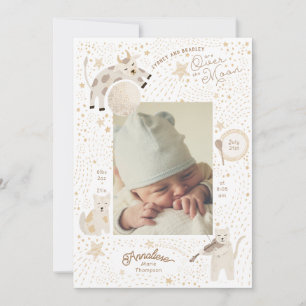 Sobre o Anúncio de Nascimento Imobiliário da Lua