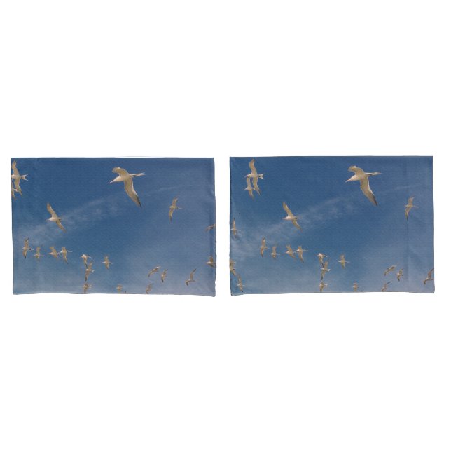 Sobrecarga de Termos (Frente - conjunto)