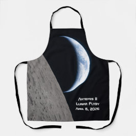 Sobrevoo Lunar Artemis II
