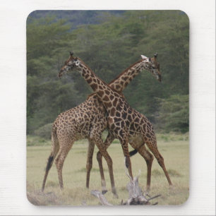 Sócios perfeitos - Mousepad