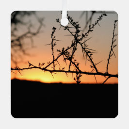 Sol africano com silhueta espinhal de acácia