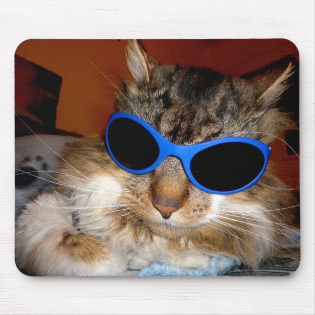 "Soldado gajo legal do gato"! Mousepad (Frente)