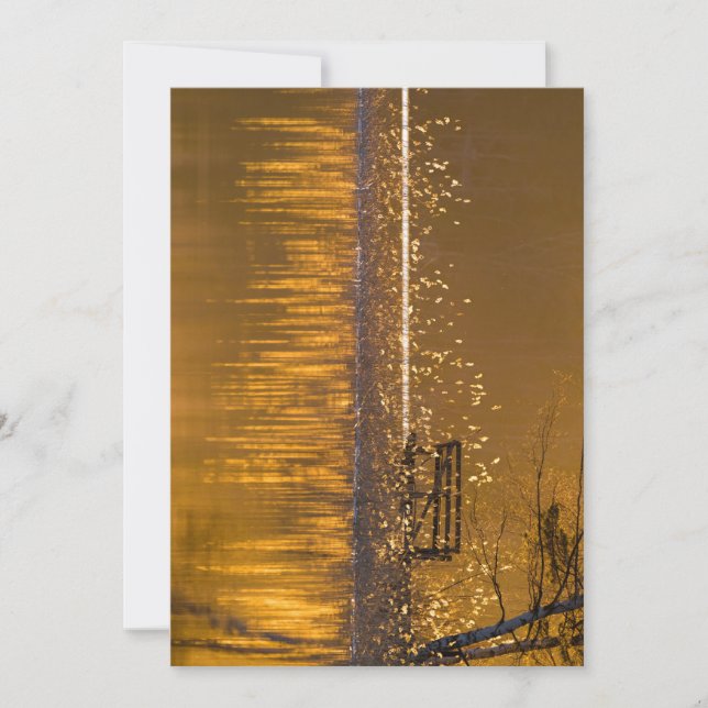 Solitário corrido pelo lago à luz do ouro (Frente)