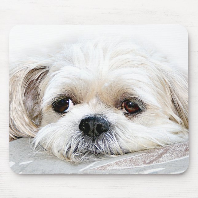 solitário shih tzu mousepad (Frente)