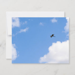 Solitary Bird Soaring Through Bright Blue Sky with